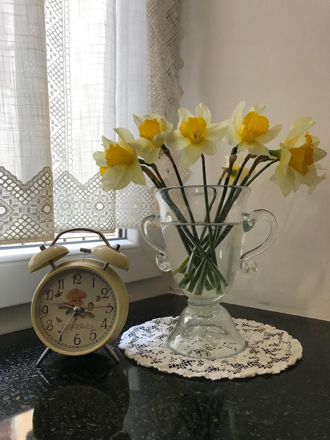 Apartment Natalya Lviv Ngoại thất bức ảnh